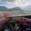Отель Atour Hotel Lhasa Potala Palace, фото 12