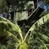 Отель Yala Tree House, фото 31