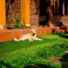 Отель Phong Nha Hillside View Bungalow, фото 3