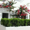 Отель Villacana 2724, фото 2