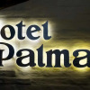 Отель Palmar, фото 1