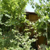 Отель Olympos Mercan Bungalow, фото 4