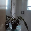Отель Beach House P.G - Hostel, фото 8