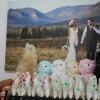 Отель Starline Alpacas Farmstay Resort, фото 21