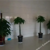 Отель HuizhouHotel, фото 6