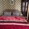 Отель Manali Jain Cottage, фото 19
