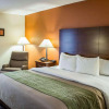 Отель Comfort Inn Vander, фото 32