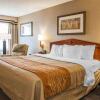 Отель Comfort Inn near Indiana Premium Outlets, фото 41