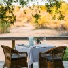 Отель Thornybush Game Lodge, фото 14