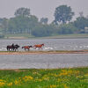 Отель Gollwitzer Park Strandburg, фото 42