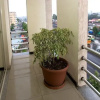Отель Dream View Guesthouse, фото 15