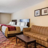 Отель Comfort Inn & Suites, фото 6