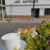Отель Los Antiguos, фото 15