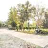 Отель Kong Krid Resort Hotel, фото 21