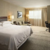 Отель Sheraton Sioux Falls Hotel & Convention Center, фото 7