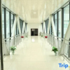 Отель Baligou Hotel, фото 8