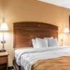 Отель Quality Inn Monroe, фото 4