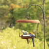 Отель Seasons of Maleny B&B, фото 6