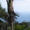 Отель The Nikau Loft, фото 7