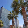Отель Forza Beach Tower, фото 1
