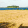 Отель Askø Bed & Breakfast, фото 14