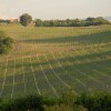 Отель Agriturismo Colleverde, фото 25