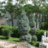 Отель Apartment With 2 Bedrooms in Stara Novalja, With Enclosed Garden - 200, фото 9