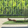Отель Les Rêveries du Clos - Hôtel Pommard, фото 24