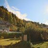 Отель Appartements Parkgasse by Schladming-Appartements, фото 24