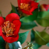 Отель Matsuharu ANN, фото 9