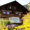 Отель Adventure Guesthouse, фото 10