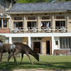 Отель Mountain Home Lodge in Deer Park, фото 8