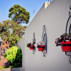 Отель Bokmakierie Guest House, фото 8
