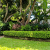 Отель Chanteak Bali - White House 2, фото 1