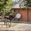 Отель Mokorro Game Ranch and Lodge, фото 16