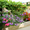Отель Neda - Perfect Location & Free Parking - A3, фото 1