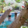 Отель Iyarin Tara Resort, фото 5