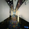 Отель Shenli Hostel, фото 5