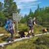 Отель STF Grövelsjön Fjällstation, фото 15