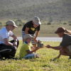 Отель Kwandwe Private Game Reserve, фото 20