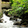 Отель Mystic Mayapott Thekkady, фото 14