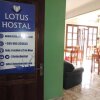 Отель Lotus Hostal, фото 15