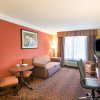 Отель Comfort Inn & Suites Houston Key-Katy, фото 6