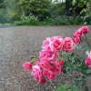 Отель Willows B&B, фото 15