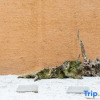 Отель Ginkgo Homestay, фото 5