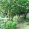 Отель Napsugár Vendégház, фото 22