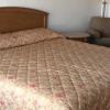 Отель Economy Inn Greenville, фото 4