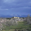 Отель Finca Sos Ferres D'en Morey, фото 12