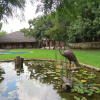 Отель Waverley Guest House, фото 18