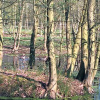 Отель B&B Landgoed Bergerven, фото 12